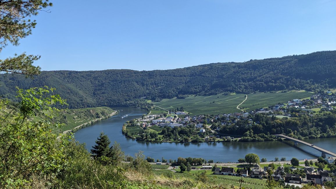 Hiking Moselle wine is how it should be