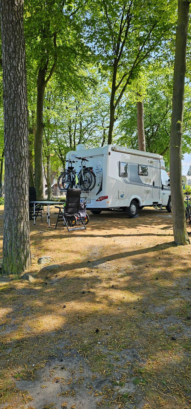 Stellplatz in Kühlungsborn 