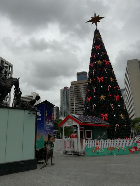 Christmas tree in Brisbane