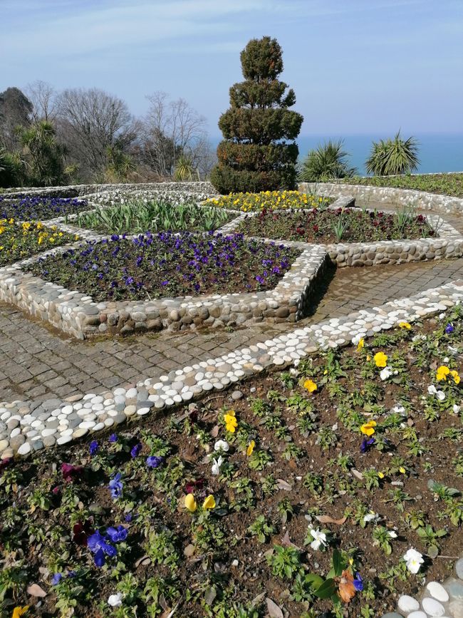 Botanischer Garten von Batumi