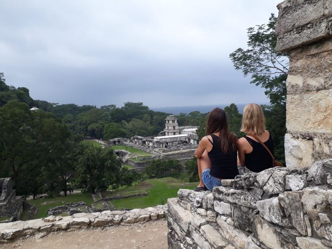 Palenque: Dschungel und Ruinen