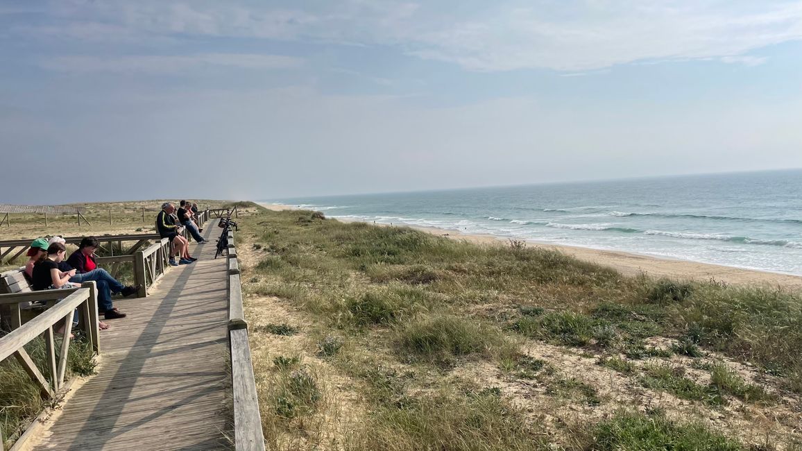 Cap de l'Homy Beach