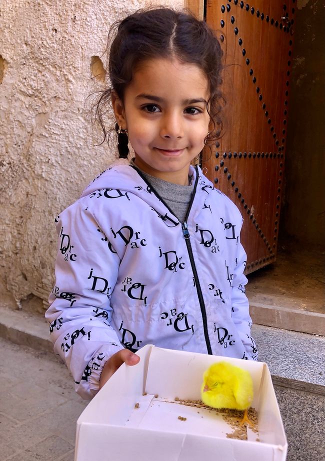 A little girl proudly shows off her chick.