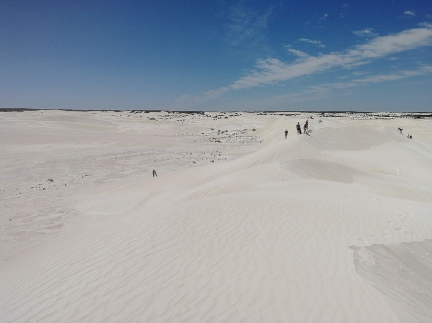 Lancelin's white sand dunes