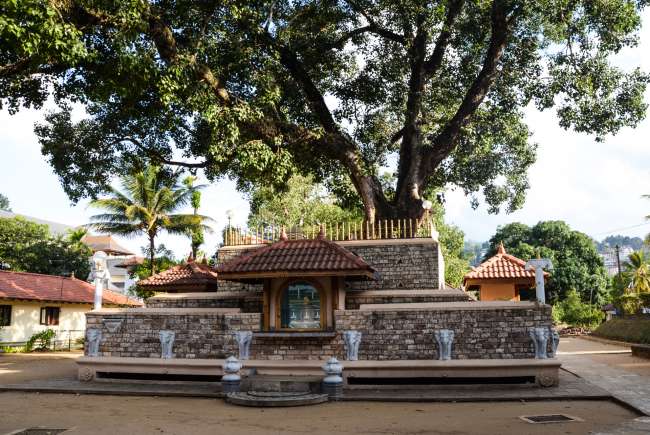 14.09.2016 - Sri Lanka, Kandy (Tooth Temple Complex)