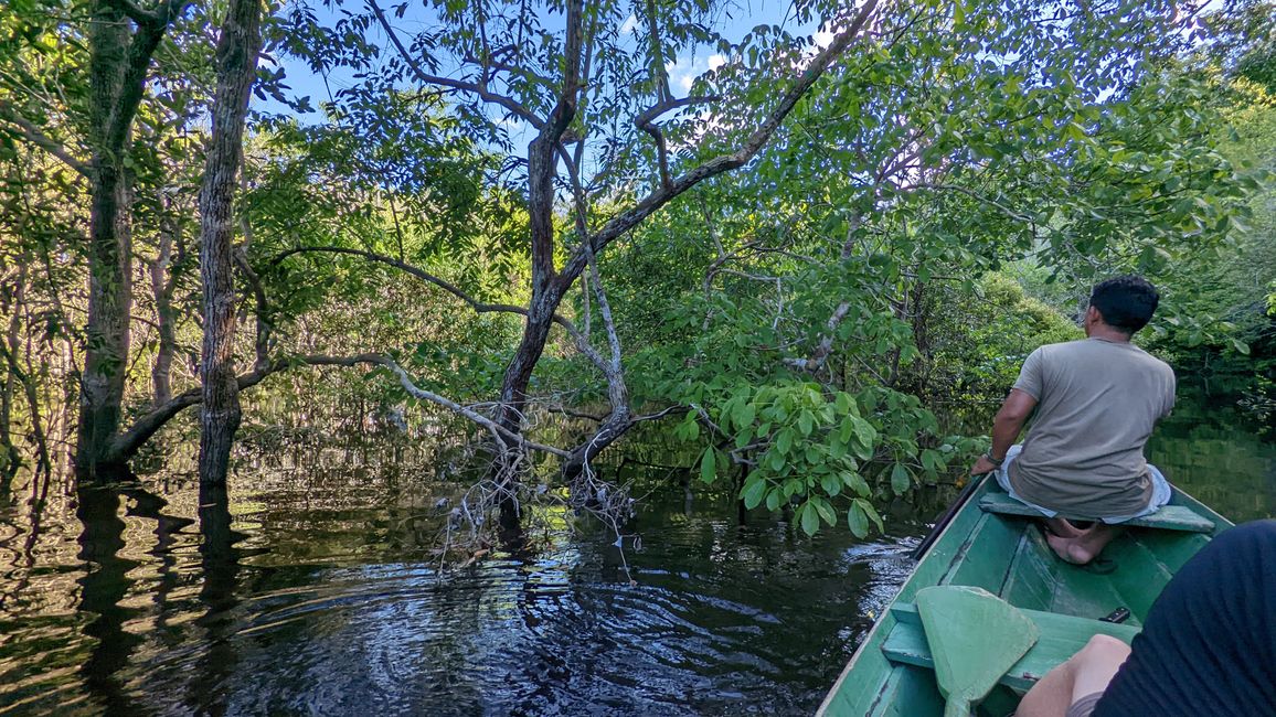 1. Tag Amazonas Dschungel