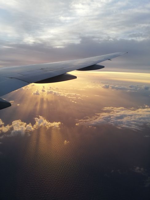 Flug nach Honolulu 