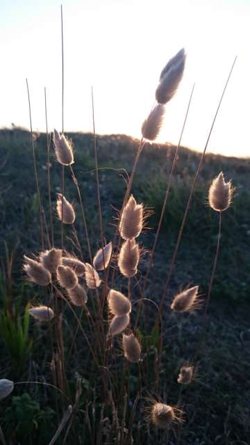 Cantabria / Natural Park of Dunas de Liencres