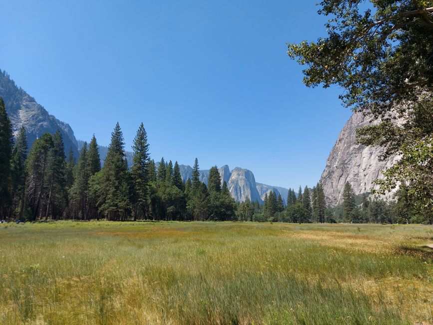 Day 16: Yosemite National Park