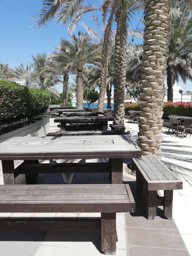 Abu Dhabi Ibis and Novotel Gate Hotel