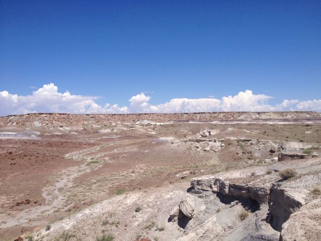Painted Desert