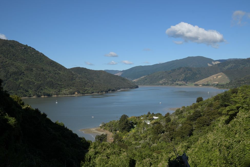 On the Queen Charlotte Drive: View into Pelorus Sound