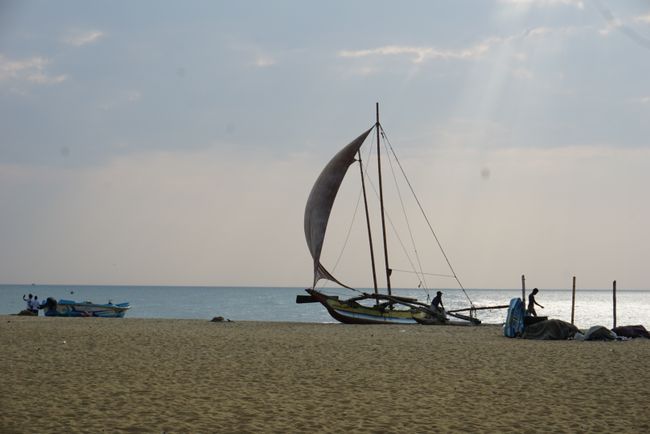 Negombo's fishermen