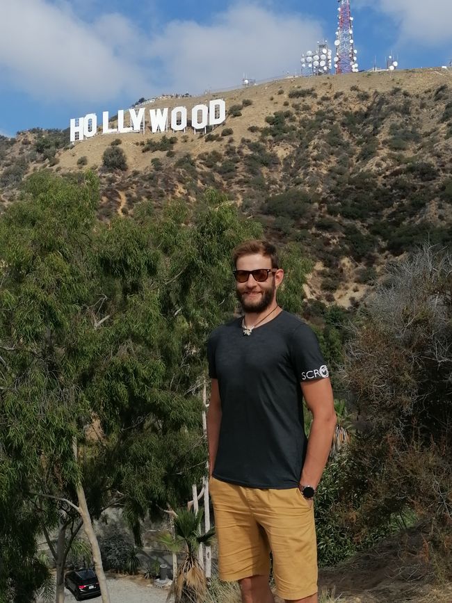 Freddi and the Hollywood Sign