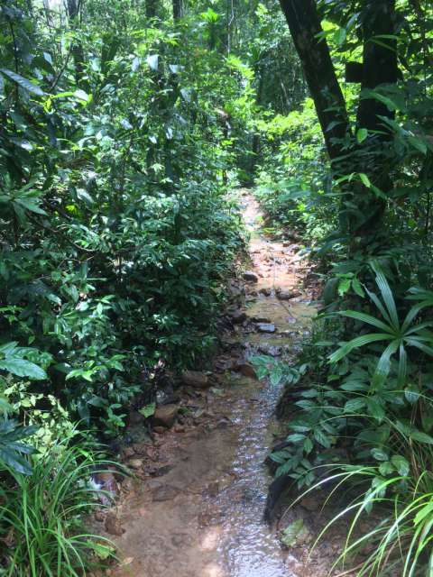 Koh Rong Samloem and Koh Rong