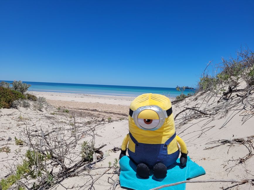 Stuart relaxing at Point Lowly Beach