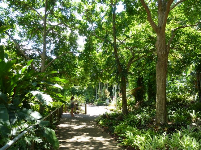 Brisbane - roma street parkland