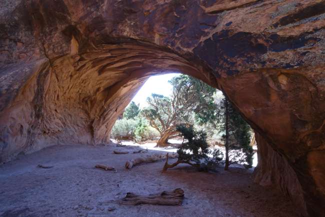 The Navajo Arch