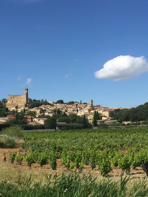 from Montelimar to Chateauneuf du Pape