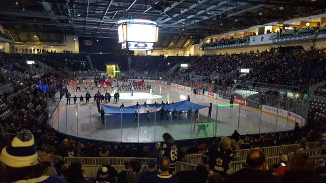 Ice Hockey - Toronto Marlies vs. Binghamton Devils