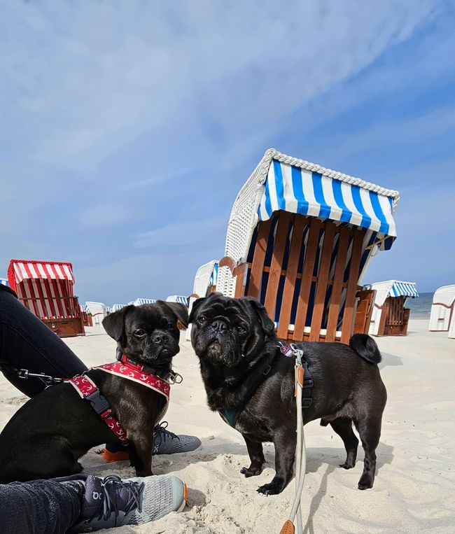 Pepe und Paul in Binz/Rügen