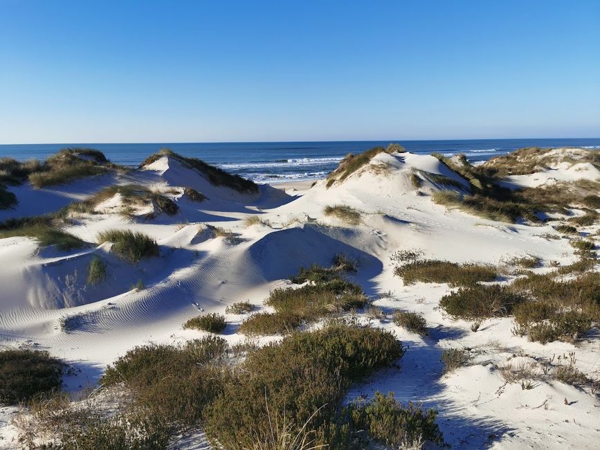 Wonderful dune landscape