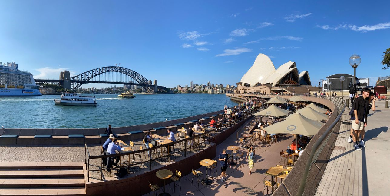 Oper und Sydney Harbour Bridge