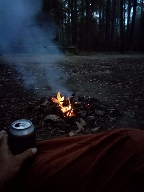 Bonfire im Wald