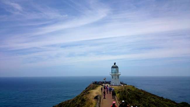 Meeting point of the Tasman Sea and the Pacific Ocean (Cape Reinga)