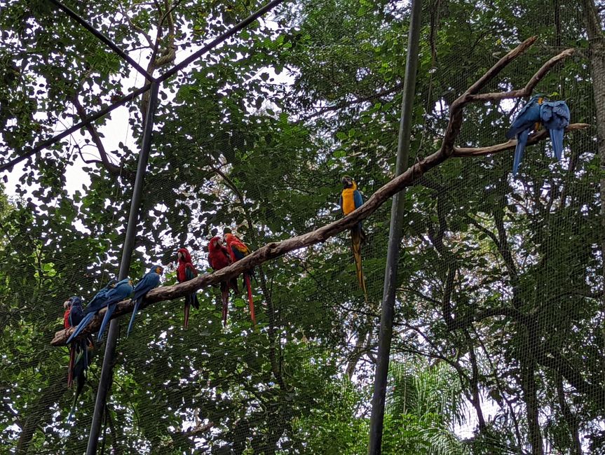 07.06.2022 - Vogelpark und Wasserfälle