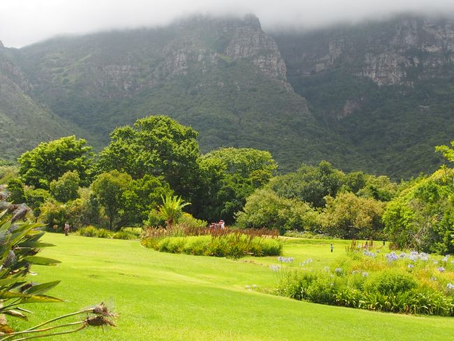 Around Table Mountain & Kirstenbosch Botanical Garden