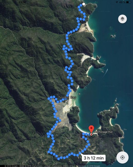 02.03.2017 - Wandern und Bootstour im Abel Tasman National Park