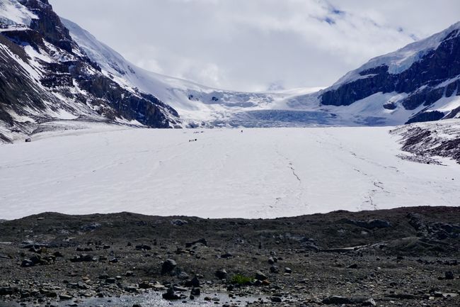 Kanada Tag 12 (4) - Icefields Parkway - Athabasca Glacier/Columbia Icefield