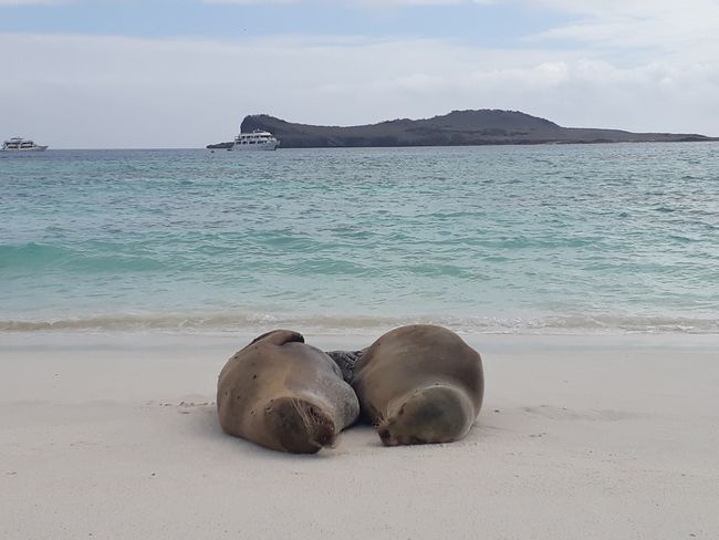 Galapagos Islands :)