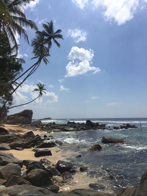 Tag 28+29: Unawatuna, Sri Lanka - 36 degrees and it's even hotter...