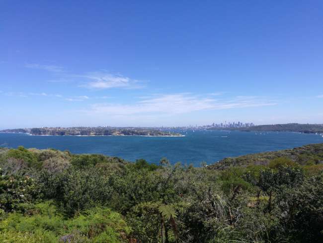 Sydney's Skyline from Northhead\ Manly