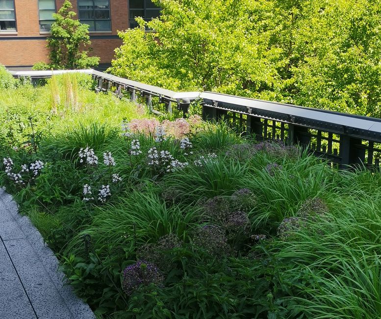 High Line New York🍎🗽🇱🇷