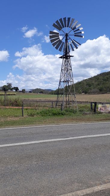 Sugarcane plantations near Mackay on October 15, 2018