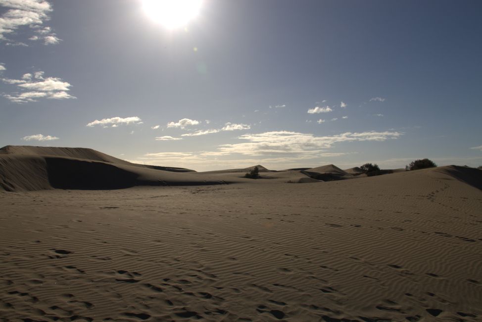 Dunes of Maspalomas