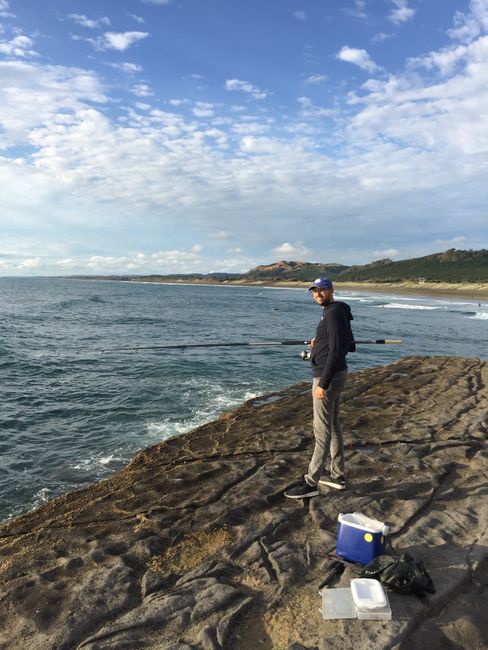 Family time Part 2 and the North Island of New Zealand