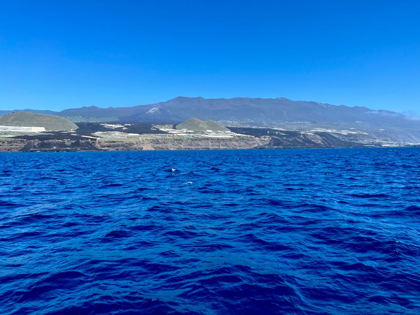 Boat tour and stargazing in La Palma