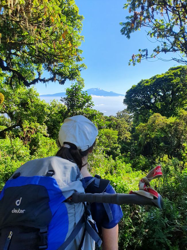 Tag 2: Ausblick auf den Kilimanjaro