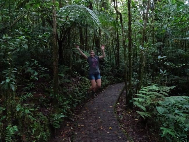 Monteverde - No more touristy