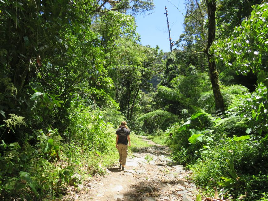 4. Boquete - En las tierras altas de Panamá