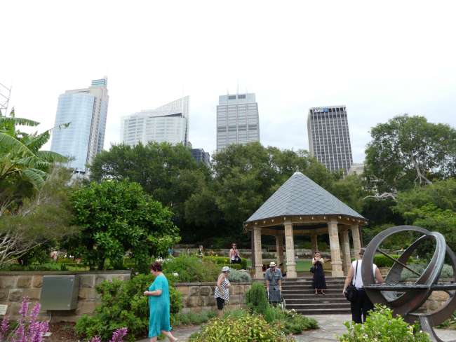 In front of the herb garden with a view of skyscrapers