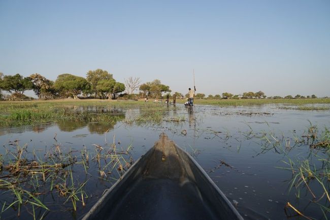 Fahrt durch das Okavango-Delta in Mokoros