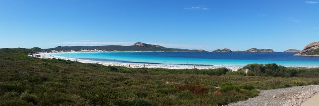 Lucky at Lucky Bay, Cape Le Grand National Park