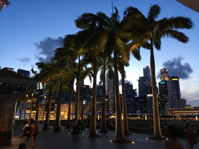 Sista dagen i Singapore - På väg i Downtown