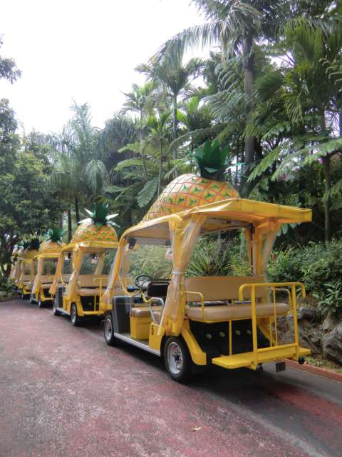 Ananas-Mobil