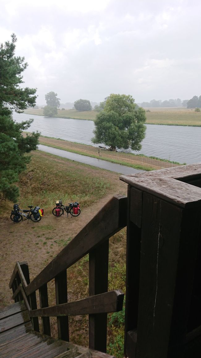 Wind and rain on the Elbe - we take refuge in a viewing tower
